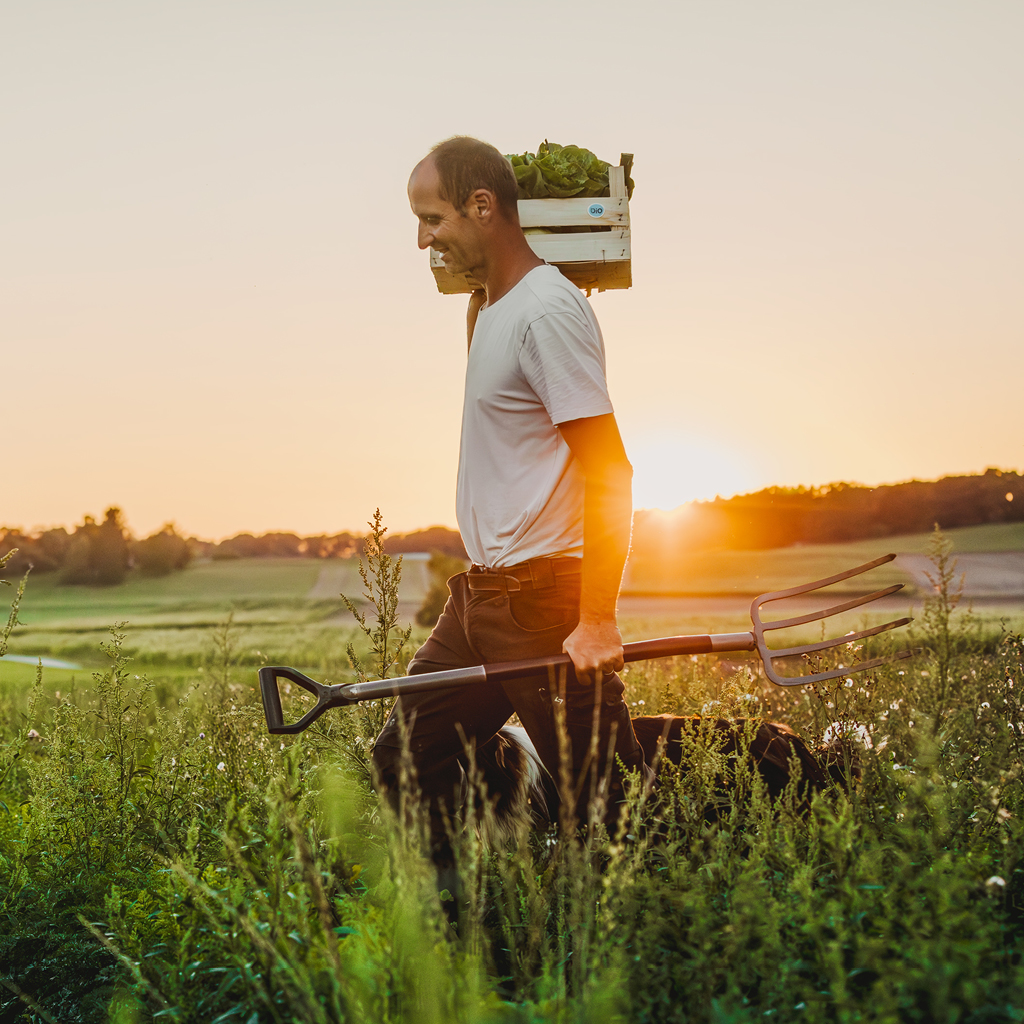 Das Bild zeigt einen Mann, der in einem Feld bei Sonnenuntergang mit einer Kiste voller Gemüse auf der Schulter und einer Heugabel in der Hand läuft.