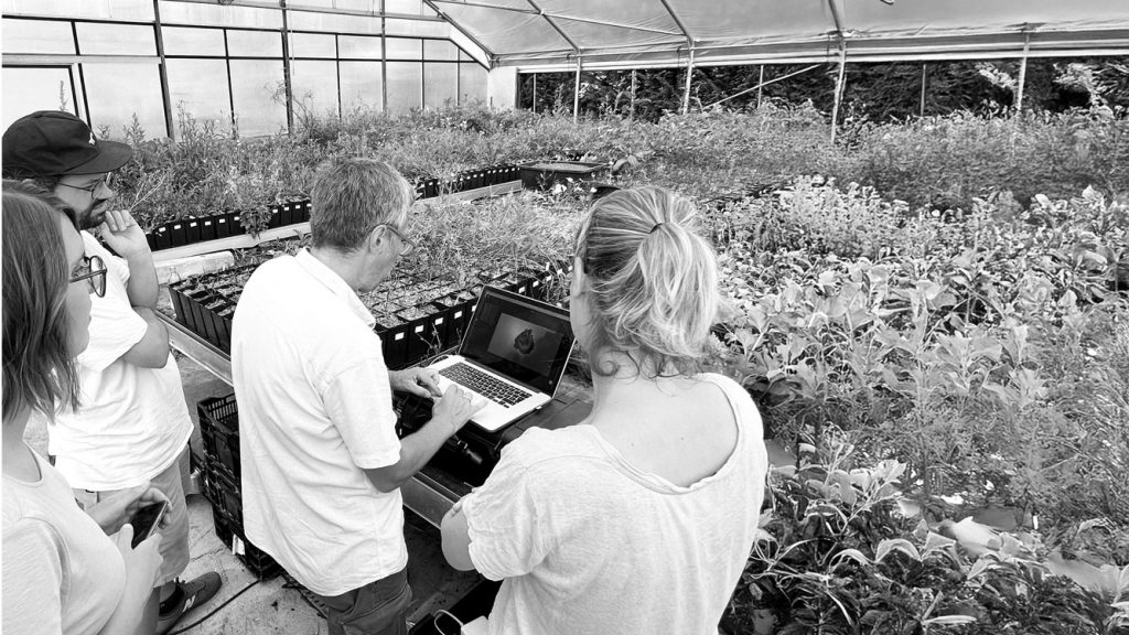 Kollegen bei einem Fotoshooting in einem Gewächshaus.