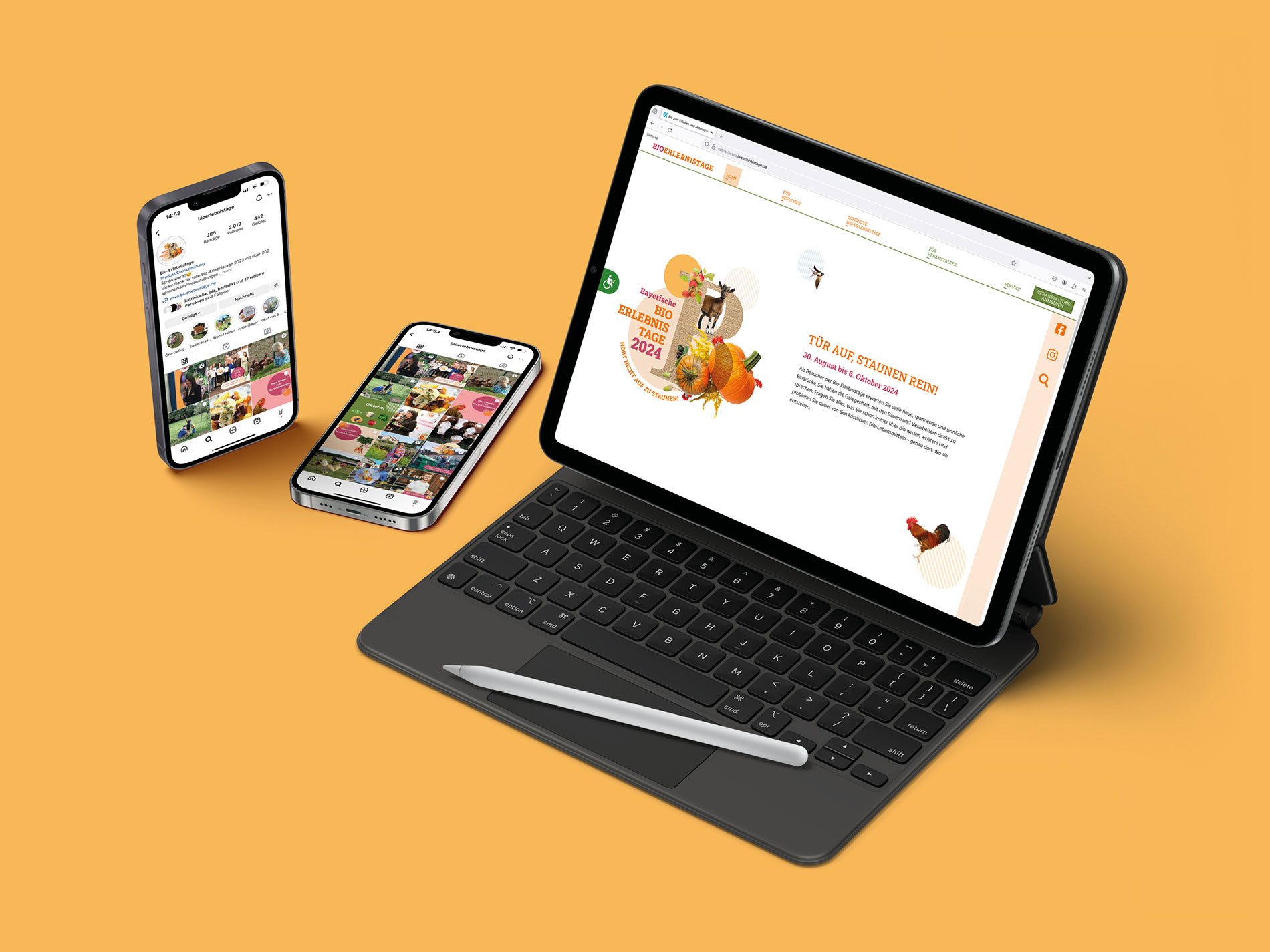 Das Bild zeigt ein Tablet und zwei Smartphones auf einem orangefarbenen Hintergrund. Auf dem Tablet ist die Website der "Bayerischen Bio Erlebnistage 2024" geöffnet, während auf den Smartphones Instagram-Posts mit Bildern und Inhalten zu diesen Events angezeigt werden.