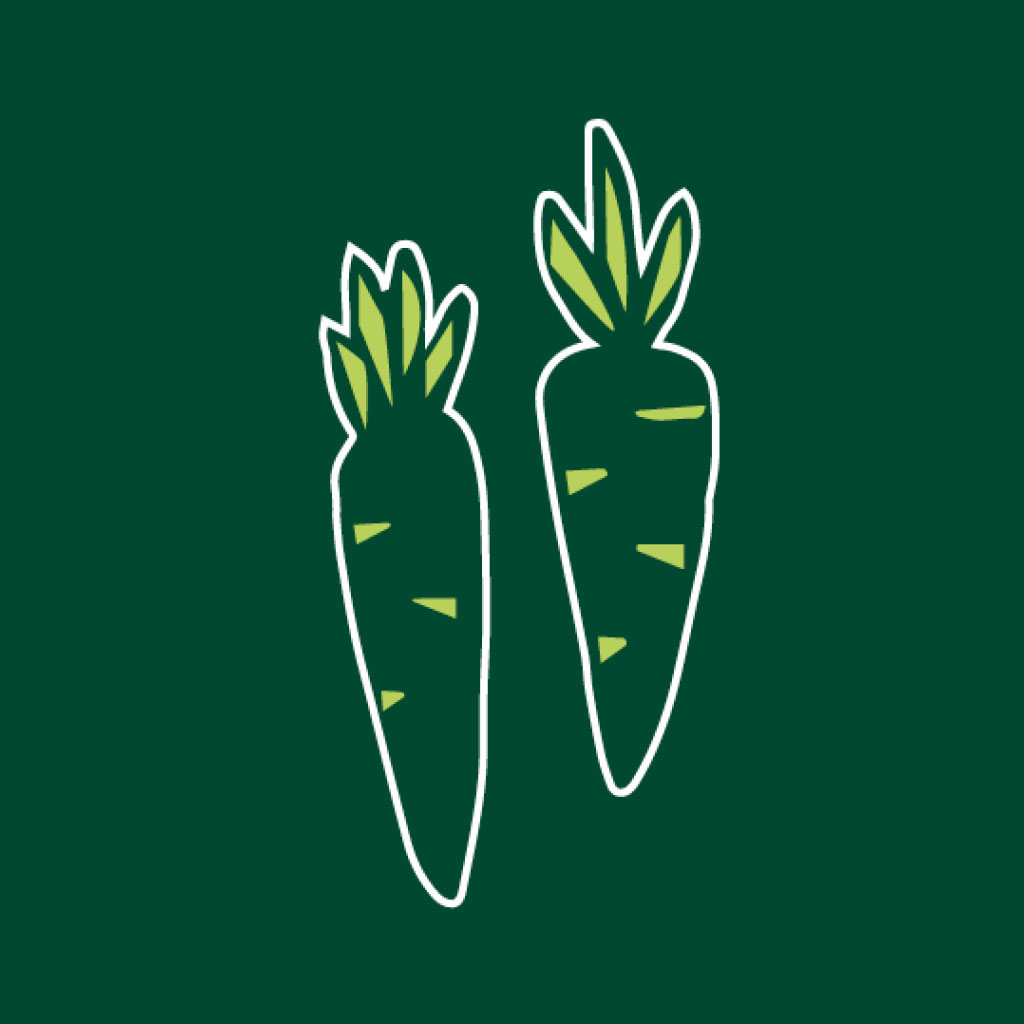 Konradhof Icon Möhren.