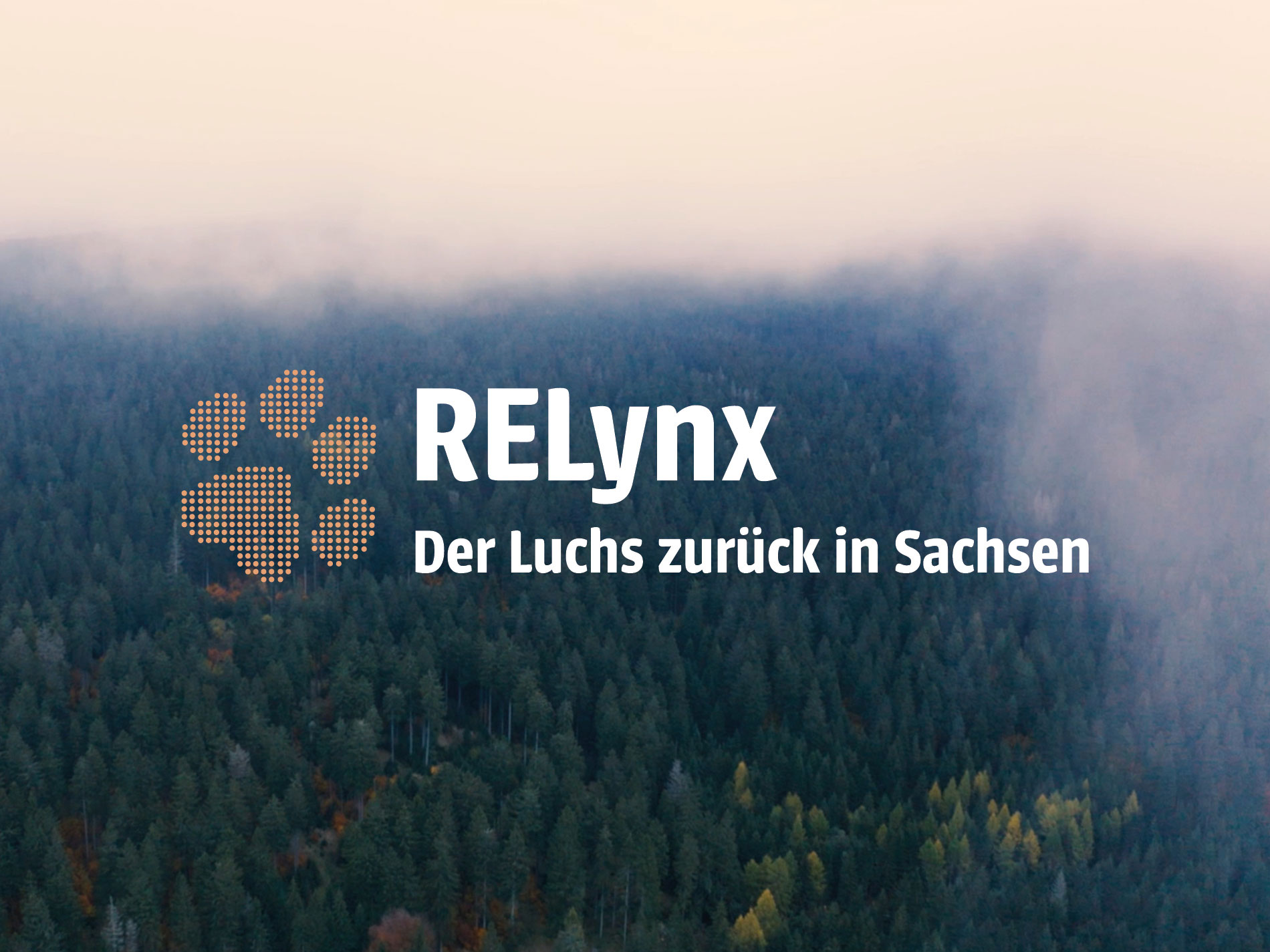 Das RELynx Logo auf einem Hintergrund.