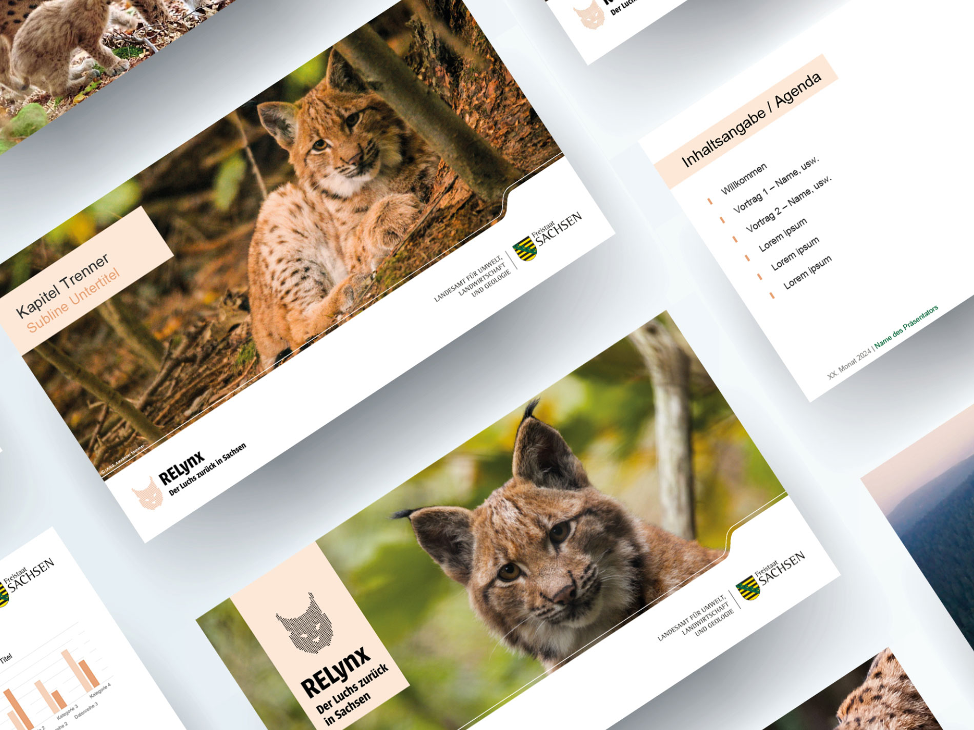 Präsentation zum Projekt RELynx.