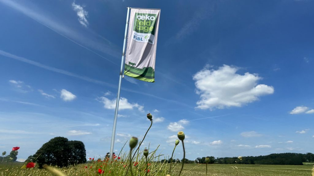 Eine Fahne auf den Ökofeldtagen in Sachsen.