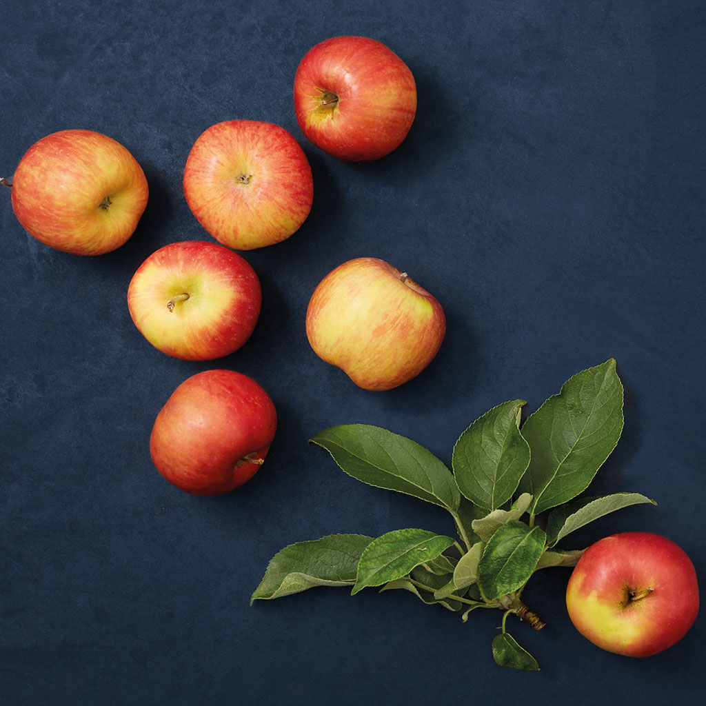 Äpfel mit dem Geprüfte Qualität Bayern Siegel liegen auf einer dunkjen Fläche.