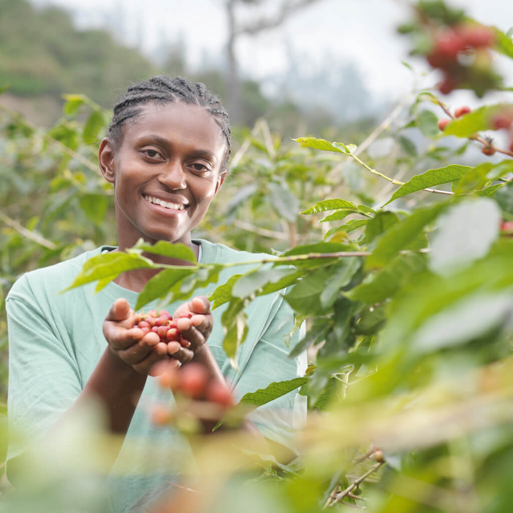 Junge Frau in einer Kaffeeplantage zeigt lächelnd eine Handvoll frisch geerntete Kaffeekirschen.