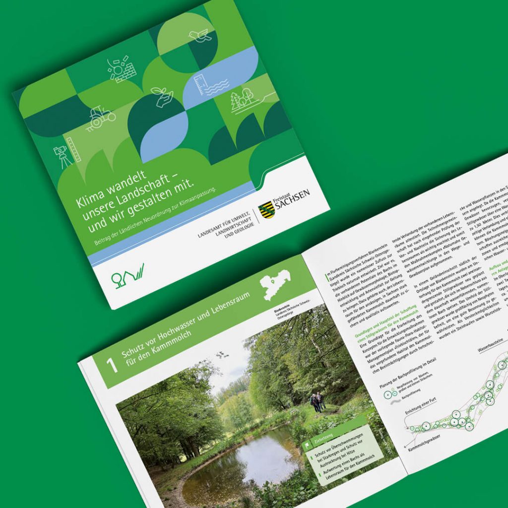 Broschüre zur Ländlichen Neuordnung des LfULG Sachsen, aufgeschlagen mit Titelseite und einer Innendoppelseite zum Projekt „Schutz vor Hochwasser und Lebensraum für den Kammmolch".